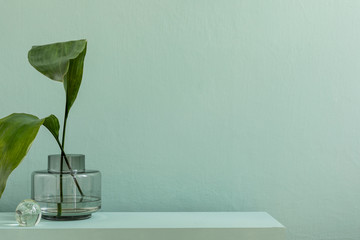 Minimalistic interior design of living room at nice apartment with stylish shelf, vase with ftropical leaf and elegant personal accessories. Copy space. Eucalyptus color concept. Template.