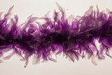 Fototapeta Motyle - purple Fether Background