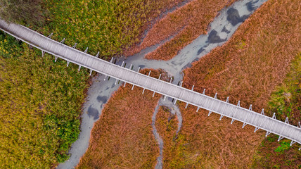 Poster - Foot Bridge at Nature Reserve in Autumnal Colors. Top Down Abstract Drone View