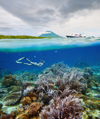 Wall Mural - Divers views beautiful coral reef with many fish near Bunaken island, Indonesia.