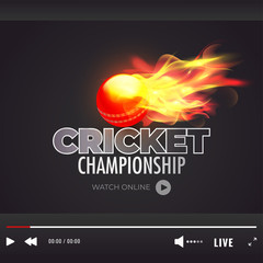 Wall Mural - Live streaming video play screen for Cricket Championship event concept.