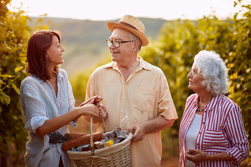 Wall Mural - Wine and grapes. Harvesting grapes. Wine and grapes. Harvesting grapes. Family in vineyard before harvesting.