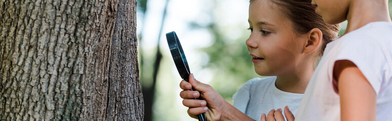 panoramic shot of happy kids looking at tree trunk through magnifier