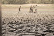 © aedkafl - Climate change and drought land, Part of a Huge Area of Dried Land Suffering from Drought - in Cracks
