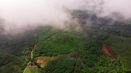 landscape with fog