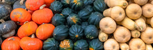 Squash, Butternut And Buttercup On A Market Stall In Montreal, Jean-Talon Market