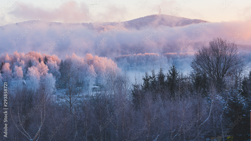 Frosty, foggy sunrise in the "Bieszczady" mountains in Poland. - obrazy, fototapety, plakaty 