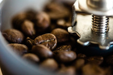 Roasted Coffee Beans In A Coffee Grinder
