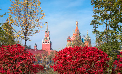 Fototapete - View of the Spasskaya Tower, the Moscow Kremlin and St. Basil's Cathedral from autumnal Zaryadie park. Architecture and sights of Moscow.