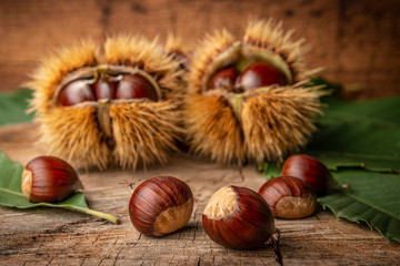 Wall Mural - Sweet Chestnuts - Castanea sativa on an old wooden table