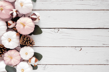 Fall side border of dusty rose and white pumpkins and eucalyptus leaves over a white wood background. Top view with copy space.