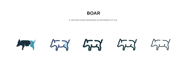 boar icon in different style vector illustration. two colored and black boar vector icons designed in filled, outline, line and stroke style can be used for web, mobile, ui