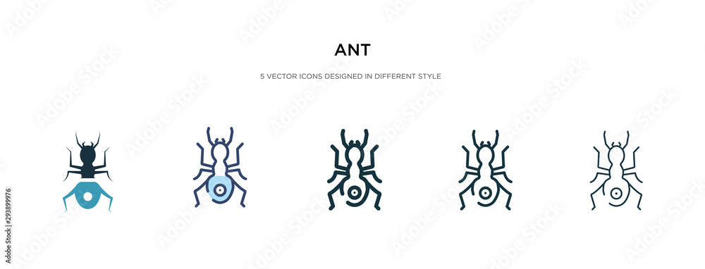 ant icon in different style vector illustration. two colored and black ...