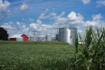 Red barn and silos next to a field