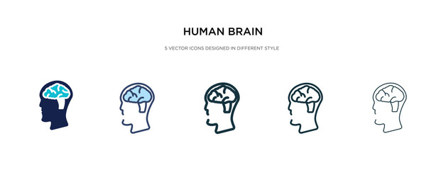 Wall Mural - human brain icon in different style vector illustration. two colored and black human brain vector icons designed in filled, outline, line and stroke style can be used for web, mobile, ui