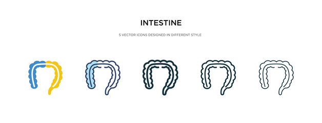 Sticker - intestine icon in different style vector illustration. two colored and black intestine vector icons designed in filled, outline, line and stroke style can be used for web, mobile, ui