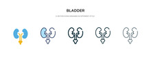 Bladder Icon In Different Style Vector Illustration. Two Colored And Black Bladder Vector Icons Designed In Filled, Outline, Line And Stroke Style Can Be Used For Web, Mobile, Ui