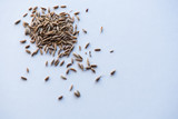Fototapeta Boho - cumin seeds, spice, seeds, dry seeds, texture