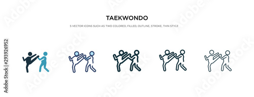 taekwondo icon in different style vector illustration Poster Mural XXL