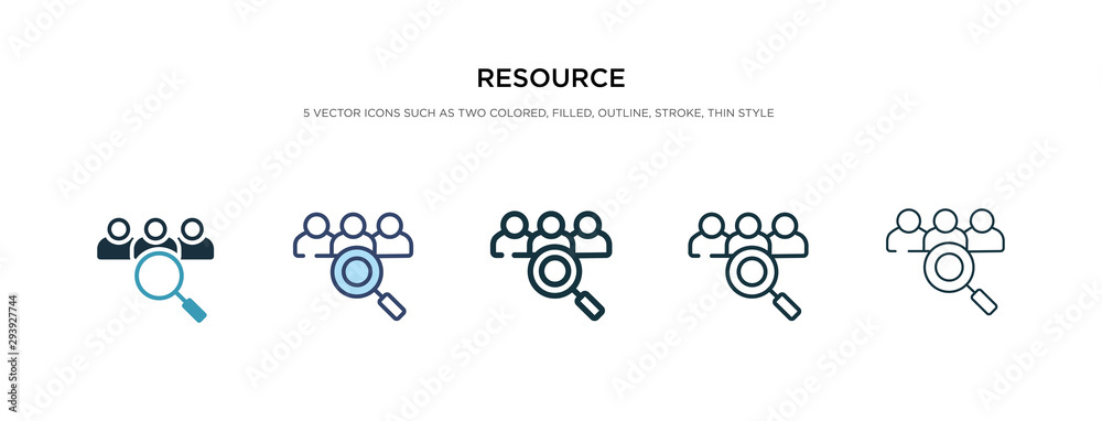 resource icon in different style vector illustration. two colored and ...
