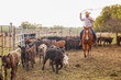 Cowboy roping cattle