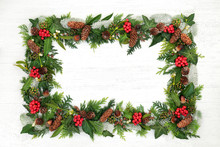 Natural Winter And Christmas Background Border With Holly And A Variety Of Flora And Fauna On Rustic Wood Background With Copy Space.
