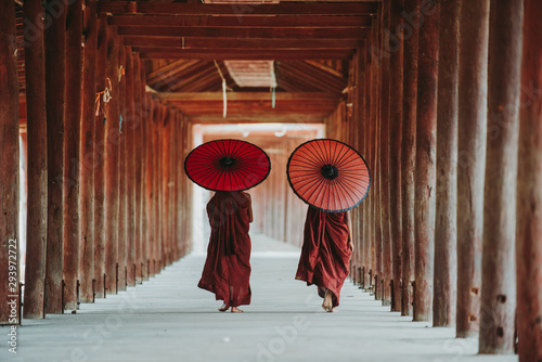 Fotomural Tear view of two Buddhist monks walking with parasols, Bagan, Myanmar