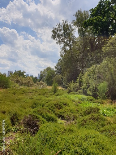 Botanischer Garten Frankfurt Buy This Stock Photo And Explore