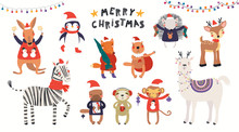 Cute Christmas Penguin Art Print Free Stock Photo - Public Domain Pictures