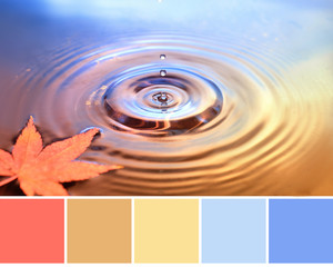 Wall Mural - Color matching Autumn palette from image of dry marple leaf on water surface, rings from water drops