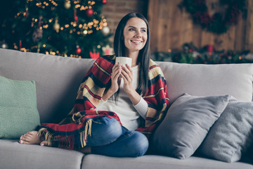 Sticker - Full body photo of calm girl sit divan covered checkered plaid blanket have noel relax in her house with christmas lights illumination hold mug with hot beverage inpsired imagine indoors