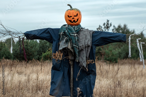 Fotomural A scary scarecrow with a halloween pumpkin head in a field in cloudy weather