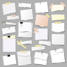 Set Of Note Papers, Isolated