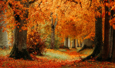 autumn
