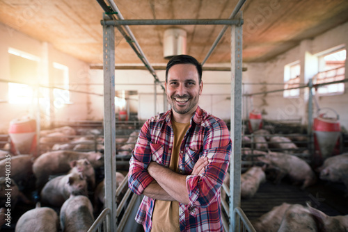 Cuadros en Lienzo Portrait of happy farmer with crossed arms standing in pigpen taking care of pigs domestic animals