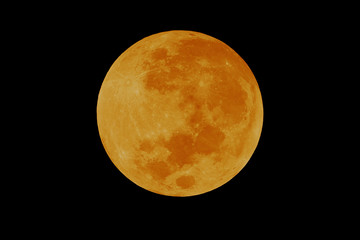 Wall Mural - bright orange full moon on night sky.