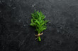 Fresh green dill on a black stone background. Top view. Free space for your text.
