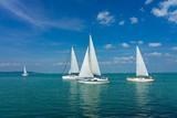 Fototapeta  - Sail Boats on the blue Lake Balaton Hungary