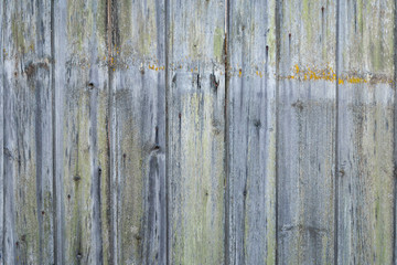 an old plank surface taken on a Sunny autumn day