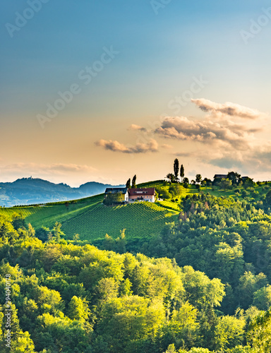 Fotomural View from famous wine street in south styria, Austria on tuscany like vineyard hills
