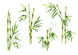 Fototapeta Sypialnia - Green bamboo stems and leaves set. Watercolor hand drawn illustration, isolated on white background
