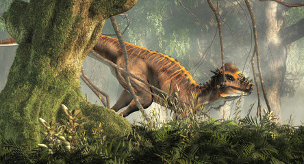 Aufkleber - A brown Pachycephalosaurus in a dense forest. Pachycephalosaurus known for it's thick skull, was an dinosaur of the Cretaceous in North America. 3D Rendering