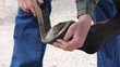 A farrier is a blacksmith specialized to work on animal hooves. Here ar farrier ready's a horse's hoof for shoeing.