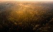 Die Herbstsonne erleuchtet die Südheide bei Wildeck / first morning sun rays enlightening a forest in lower saxony 