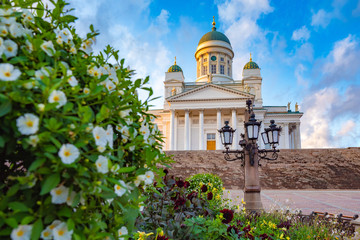 Wall Mural - Panorama of Helsinki in summer. Finland. Suurkirkko. Cathedral Of St. Nicholas. Cathedrals Of Finland. Senate square. Church on a background of flowers. Helsinki travel guide. Architecture