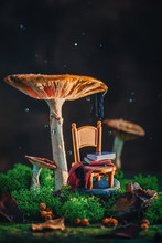 Tiny Chair With Plaid And A Stack Of Books Under A Gigantic Mushroom With Moss And Raindrops. Magical Forest Scene With Copy Space.