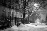 Fototapeta  - Tree-lined street at night 