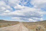 Fototapeta Sawanna - Winding dirt road among the hills with desert like landscape, grasslands and bush in Kamloops, British Columbia. Lac Du Bois