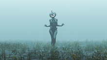 Black Evil Witch Sexy Pumpkin Head Spirit Walking With Hands Out Abstract Demon Foggy Watery Void With Reeds And Grass Background Front View 3d Illustration 3d Render