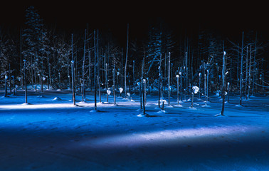 Wall Mural - Blue Pond on night winter. Biei town countryside of Hokkaido, Japan.